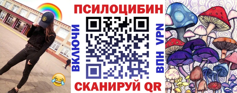 Галлюциногенные грибы Psilocybe  Купить  Одинцово 